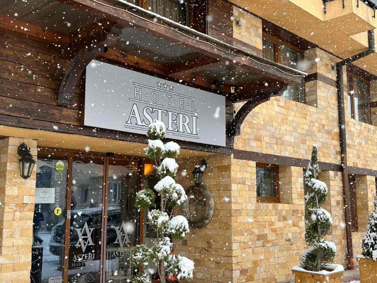Hotel Asteri Bansko - Organic Food From Small Local Farms By Asteri Hotels Экстерьер фото
